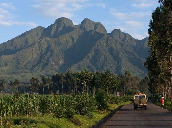 Volcanoes National Park landscape, Rwanda
